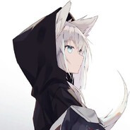 white arctic fox