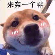 啊破可裂※※※