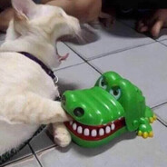 Domo's avatar