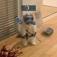 Noah's avatar