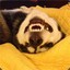 王安全