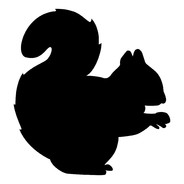 PineSquirrel