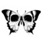 Papilio