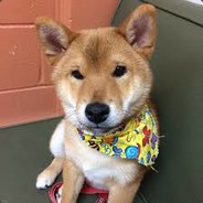 ＧＯＯＤＢOＹＥ