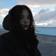 秋雨不问梧桐意