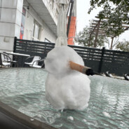 尊敬的杜卡迪v4s车主