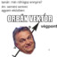 Orbán Vektor