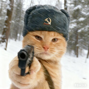 哈基米南北绿豆