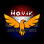 Havik_AoE