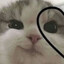 - Dudu -