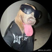 Mata javardos avatar