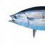 TUNA