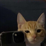 Продлевайте