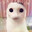 kitty witty boo boo bear's Avatar