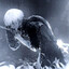 Avatar of player t.me/shatteredillusionn