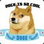 COOL DOGE