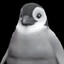 PenguinLover27
