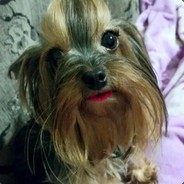 Lucas
