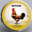 ChicknZynnr