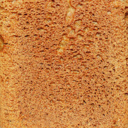 КЛАН_КЛУТЫХ_Корон