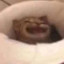 :D