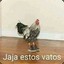 Almirante Pollo