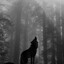 LoneWolf