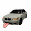 bmw enjoyer