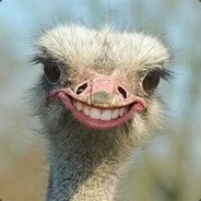 诋毁质疑理解相信成为众神之父