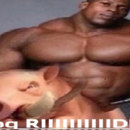 Santa_Habibi1skins.army