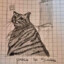 Euraphacat
