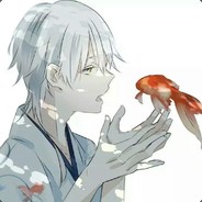 Your name