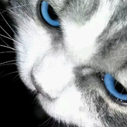 那天我不该离开