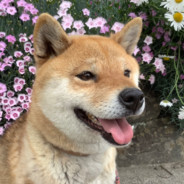 外黒人