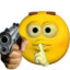 cricri