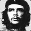 Che