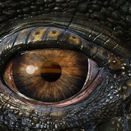 樱花泪下爱白给