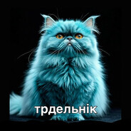 denkW - steam id 76561199225458542