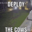 !!DEPLOY THE COWS!!