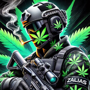 Zalias - steam id 76561199563496098