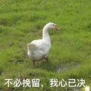 滋到你烦蹦到你急