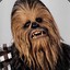 Chewbacca