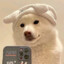春秋