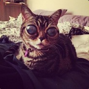 Oepee - steam id 76561198168730265