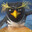 penguinbro
