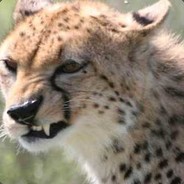 Dadoo - steam id 76561197975634608