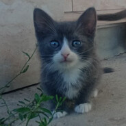 Димочка ещкере