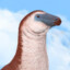 Nothronychus