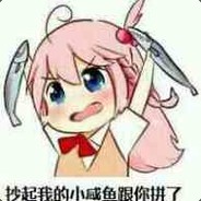 猫有九命唯有一心