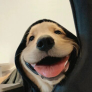 3000就3000，我要看学生证